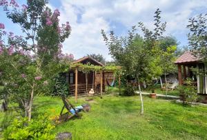 Tiny houses Genacvale في مارتيفيلي: حديقة امام بيت به اشجار