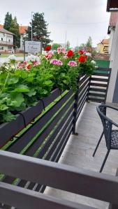 Zahrada ubytování Apartmani Ana Vukovar