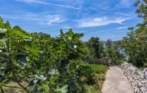 a path through a garden with trees and a blue sky at Amazing Apartment In Omisalj in Omišalj
