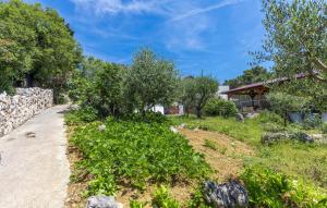 a garden with a path leading to a house at Amazing Apartment In Omisalj in Omišalj