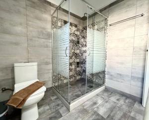 Un baño con inodoro y ducha de cristal. en Sofia's House, en Pollonia