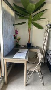 a desk with a chair and a plant on a wall at Studio avec balcon proche des thermes in Saint-Paul-lès-Dax