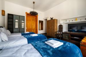 TV a/nebo společenská místnost v ubytování Rustic Downtown Apartment 106 m2