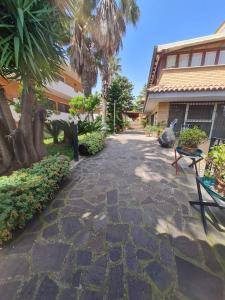 a stone walkway with palm trees and a building at Villa Mattei Dreams in Rome +11 photos