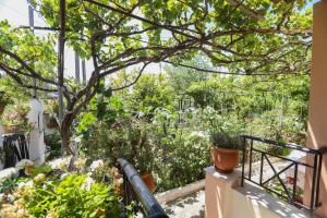 ペラマにあるNatasha’s tiny homeの鉢植えの庭園