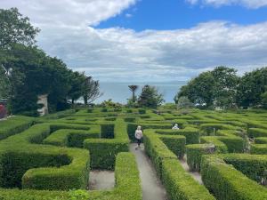 a man walking through a hedge maze at WIGHTHOLIDAY in Ryde