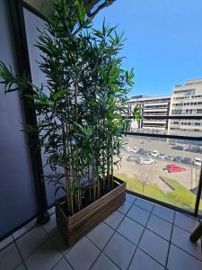 a potted plant in a window with a view of a street at Le 19 #Terrasse#Parking in Clermont-Ferrand
