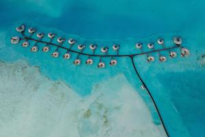 um grupo de aves sentadas numa corda na água em The St. Regis Red Sea Resort em Ḩanak