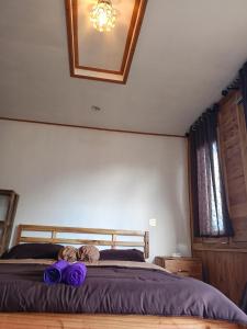 Postel nebo postele na pokoji v ubytování Batur Twin house
