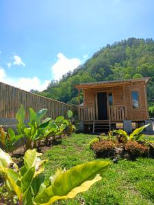 Zahrada ubytování Batur Twin house