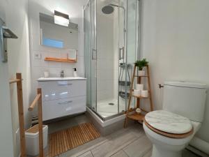 un bagno con doccia, WC e lavandino di Ma Belle Conciergerie - COSY 2pièces centre Historique Milly-La-Foret a Milly-la-Forêt