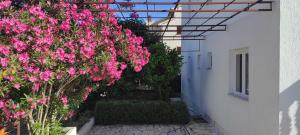 Ein Garten an der Unterkunft Villa Dusper