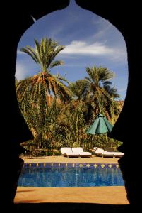 Blick auf einen Pool mit Stühlen und einem Sonnenschirm in der Unterkunft Ecolodge Bab El Oued Maroc Oasis in Agdz