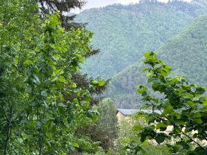 Paesaggio naturale nelle vicinanze dell'hotel
