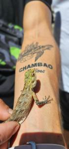 Fotografie z fotogalerie ubytování Chambao Maldives v destinaci Guraidhoo
