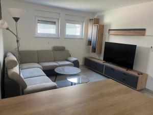ein Wohnzimmer mit Sofa und Flachbildfernseher in der Unterkunft Apartmani Vision Mandre in Mandre