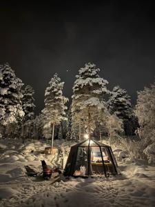 Aurora Igloo with Private Hot Tub by Invisible Forest Lodge v zimě