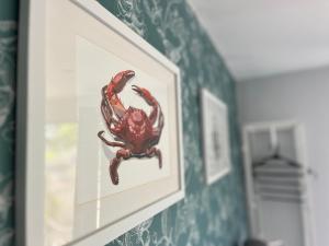 比尔Escape Pod in Devon, 5 mins from beach + parking的相册照片