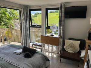 比尔Escape Pod in Devon, 5 mins from beach + parking的一间卧室，配有一张床和一张带电视的书桌