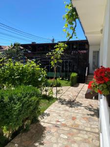 a walkway leading to a building with flowers on it at Casa Ciobi in 2 Mai