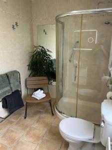 Koupelna v ubytování Studio apartment near Shannon Airport