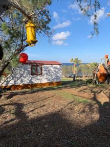 Φωτογραφία από το άλμπουμ του Tiny House Lyrides by the cretan sea σε Áyios Andónios