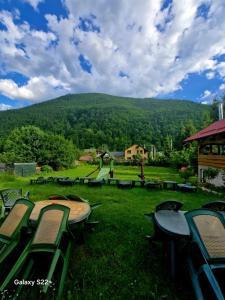 a picnic table and chairs in a field with a mountain at Pensiunea Rossvillas!! in Lepşa