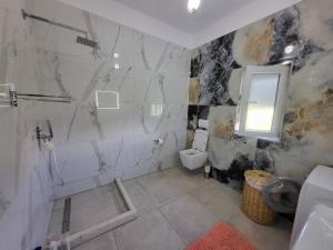 a bathroom with a shower and a toilet at Villa Ndoni in Berat +24 photos