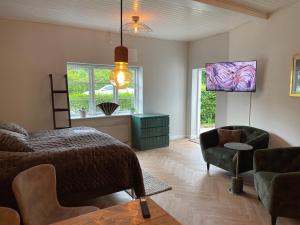TV a/nebo společenská místnost v ubytování Jonstrupvejens Apartments Lejl D