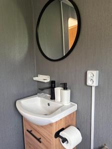 a bathroom with a sink and a mirror at Domki Parkowy in Kudowa-Zdrój