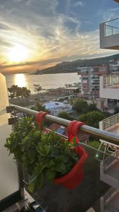 a potted plant sitting on the balcony of a building at Sun Holiday Apartment in Lezhë