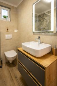 a bathroom with a sink and a toilet and a mirror at Apartment Iva in Vrana +19 photos
