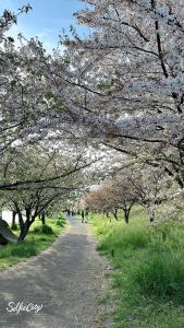 Paesaggio naturale nelle vicinanze dell'appartamento