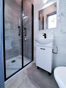 un bagno con lavandino e doccia di Apartament Jastrzębinka a Jastrzębia Góra