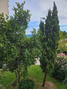 Zahrada ubytování Apartman Lila