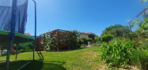 Zahrada ubytování Apartments Marušić