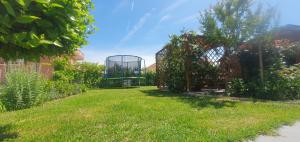 Zahrada ubytování Apartments Marušić