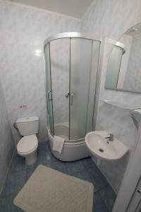 La salle de bains est pourvue d'une douche, de toilettes et d'un lavabo. dans l'établissement Hotel LaMa 2, à Kiev