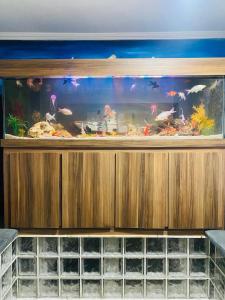 a large fish tank on a wooden wall at Hostel Anprado 2 kit café incluso, Próx-Aeroporto de Guarulhos in Guarulhos