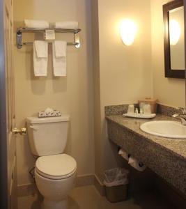 a bathroom with a toilet, sink, and mirror at Montecassino Hotel & Suites in Toronto