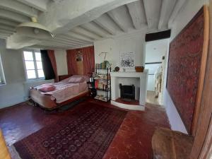 Et tv og/eller underholdning på Maison dans charmant petit jardin