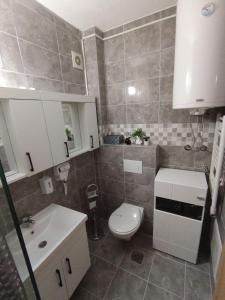 Koupelna v ubytování Apartman Tina