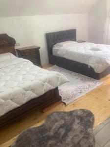 Postel nebo postele na pokoji v ubytování Paja Guesthouse - Camping
