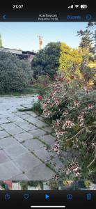 Afbeelding uit fotogalerij van Kiralık yalı in Xaçmaz