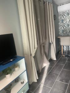 TV a/nebo společenská místnost v ubytování Maison avec accès piscine et jacuzzi