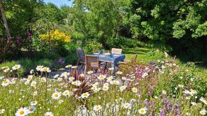 a table and chairs in a field of flowers at Darracott Farm Cottage in Welcombe