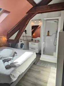 Kúpeľňa v ubytovaní Résidence Leclerc - Appartements d'hôtes - Secteur thermal