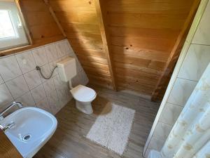a small bathroom with a toilet and a sink at Domek nad Solinką II in Wołkowyja