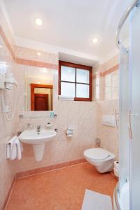 a bathroom with a sink and a toilet and a shower at Pension Silva in Špindlerův Mlýn