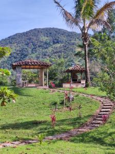 a garden with a gazebo and a palm tree at Finca PiedrAlta Cisneros in Cisneros +26 photos